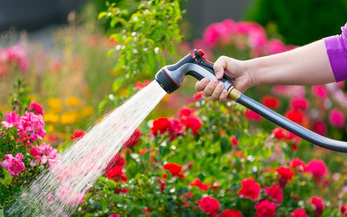 how to buy a water filter for your garden hose
